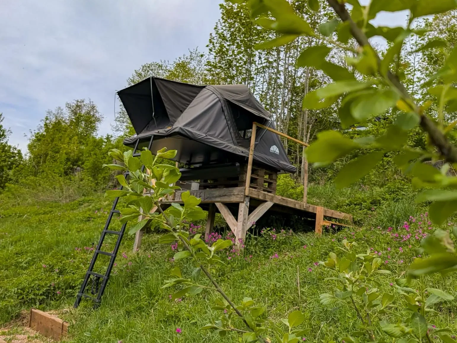 unterkunft mit hund schwarzwald dachzelt dorf furtwangen dachzelt mini michel