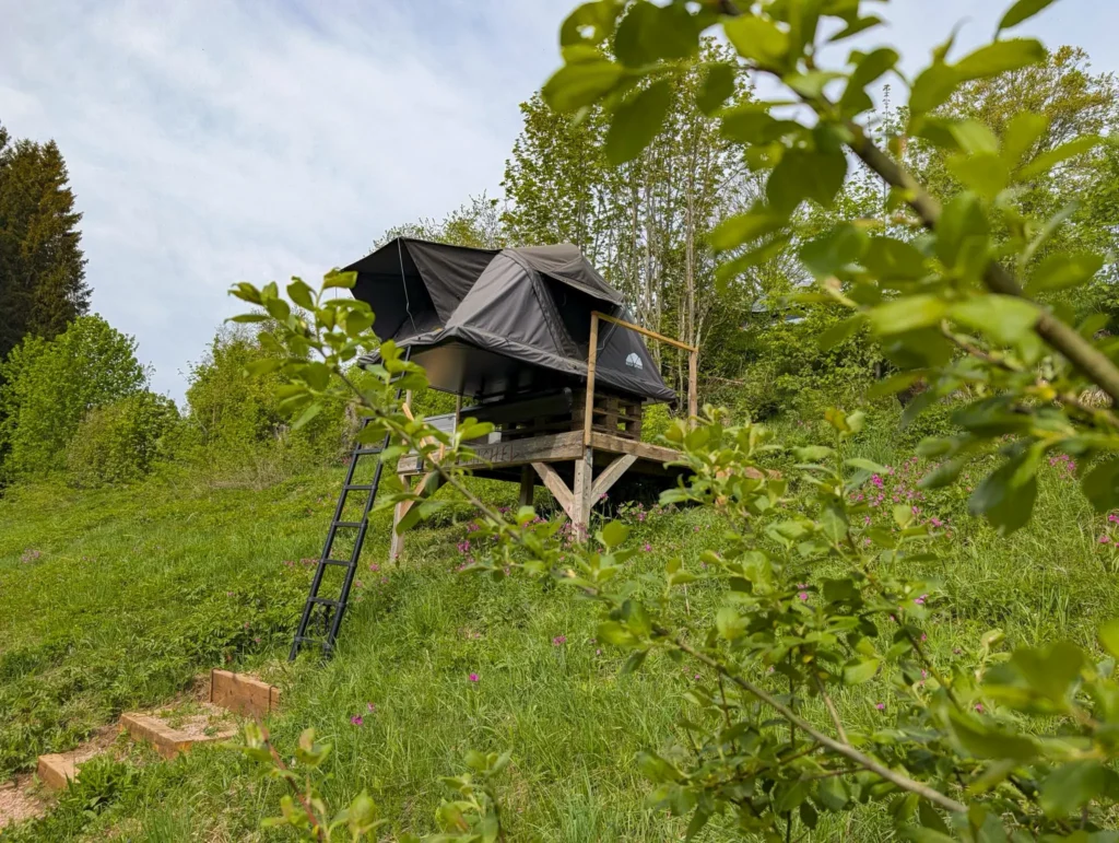 unterkunft mit hund schwarzwald dachzelt dorf furtwangen dachzelt mini michel