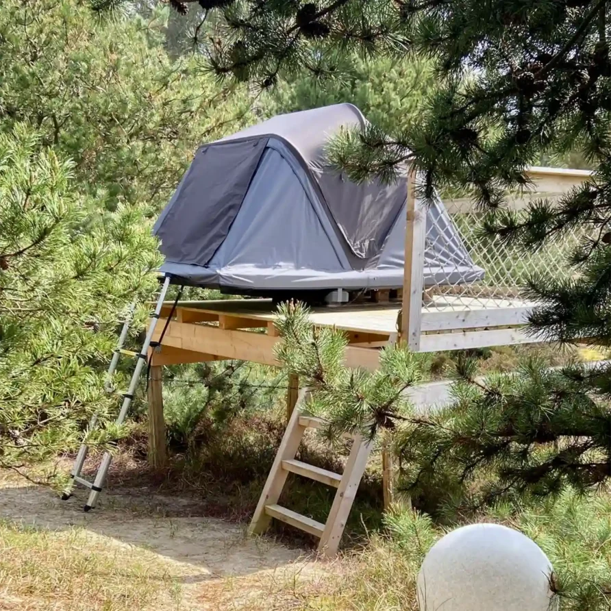 DACHZELT DORF Amrum Heideläufer ROOFSPACE 2 Saison 2024