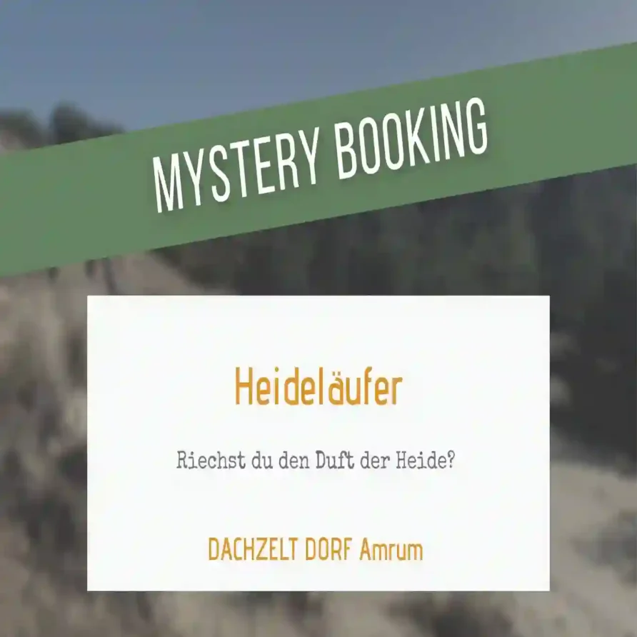 DACHZELT DORF Amrum Mystery Booking Heideläufer