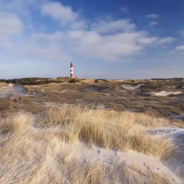 amrum schleswig-holstein deutschland leuchtturm duenen sand heide himmel