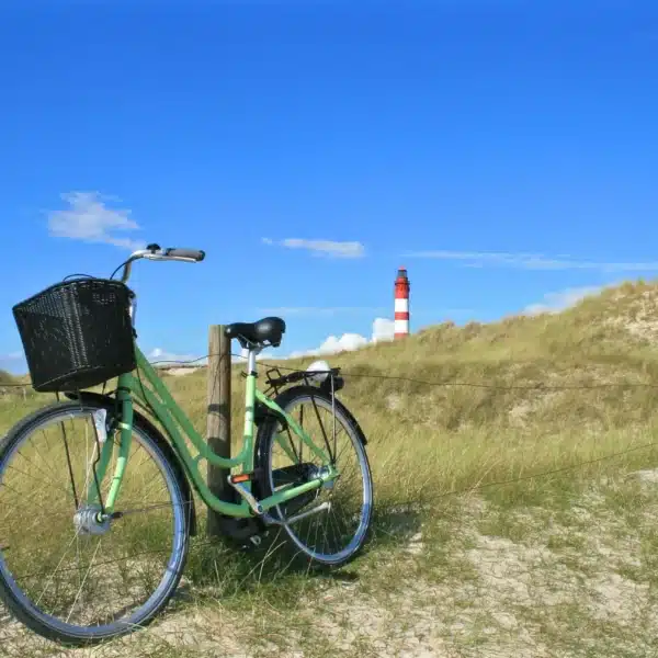 fahrrad amrum schleswig-holstein deutschland leuchtturm heide sand