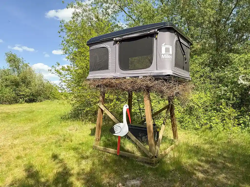 dachzelt dorf sandsted storchennest femkes rooftoptents dachzelt