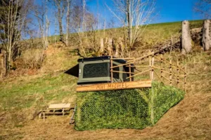 dachzelt dorf furtwangen mini michel aussergewoehnliche unterkuenfte deutschland mit hund