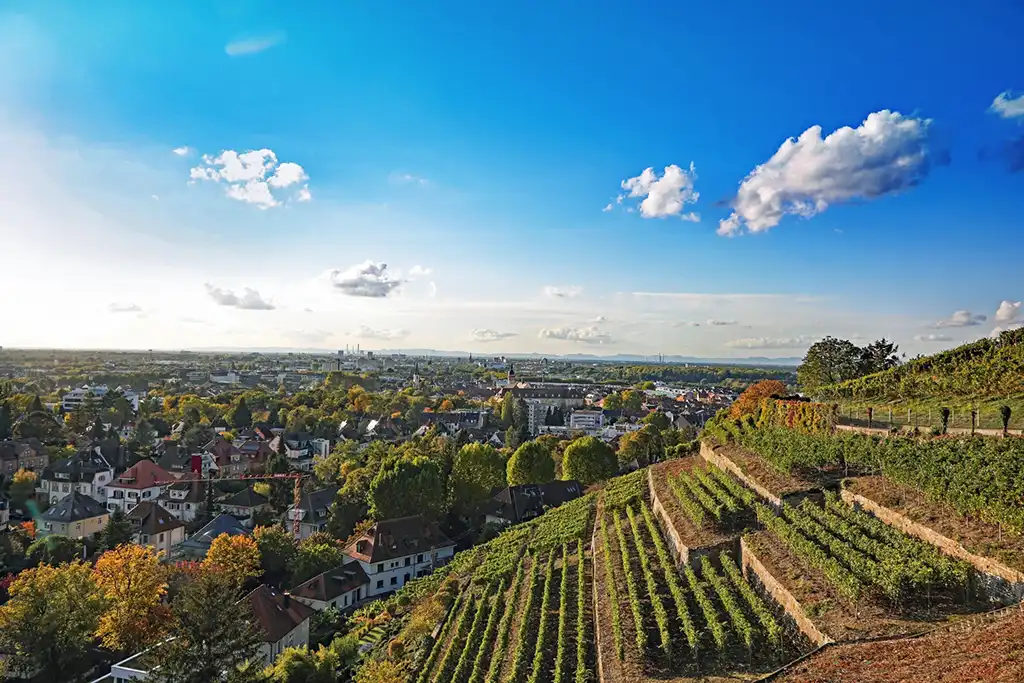 dachzelt dorf ruelzheim weinberge umgebung blauer himmel wolken sonne