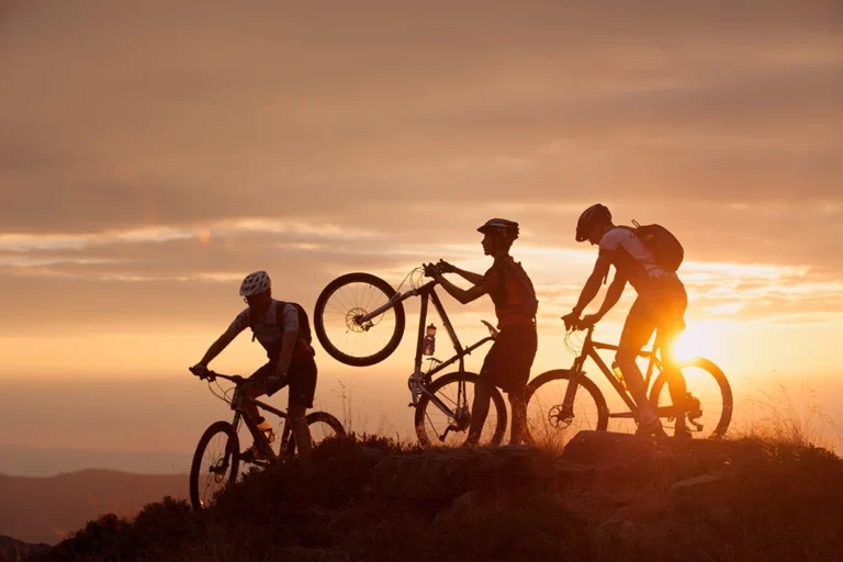radtour schwarzwald mtb-tour kandel zweitaelerland elztal simonswaeldertal tourismus gmbh panoramatour