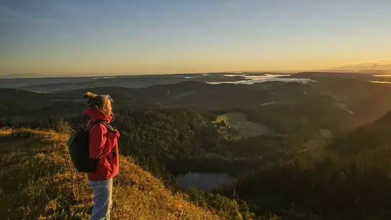 wandern im hochschwarzwald tourismus gmbH aussicht panorama