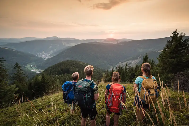 wandern hochschwarzwald tourismus gmbh ausblick silberberg todtnau belchen baschi bender