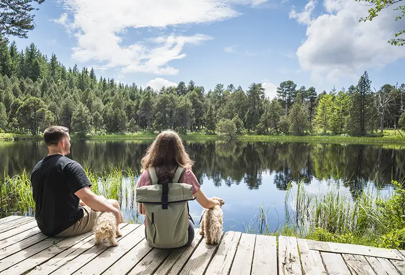 mittlerer schwarzwald baar kreis dietmar denger wandern im schwarzwald tourismus