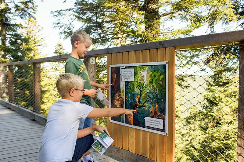 wandern mit kindern im schwarzwald baumwipfelpfad bad wildbad eak