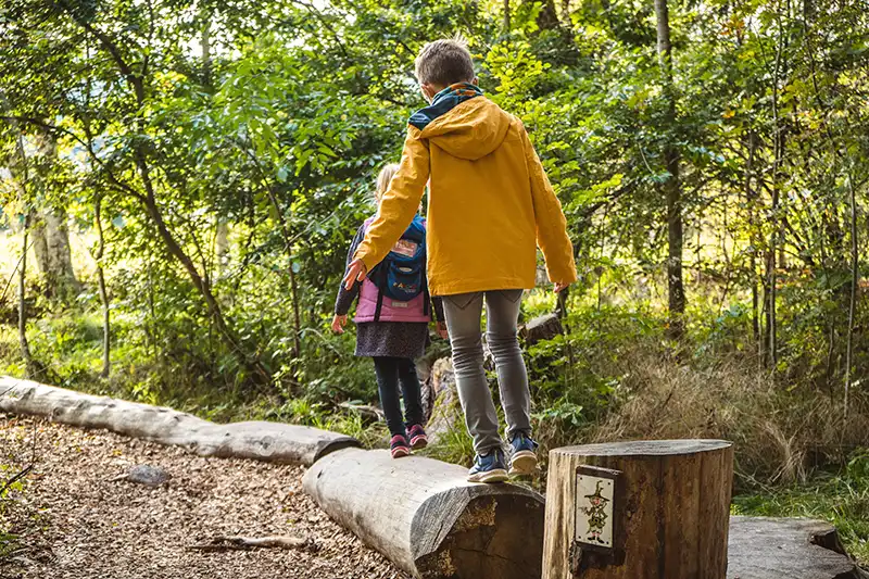 wandern im schwarzwald mit kindern hochschwarzwald tourismus gmbH holzstamm