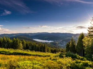 wandern im schwarzwald tourismus hochschwarzwald hochfirstturm