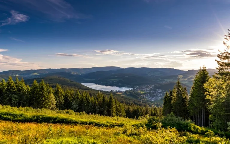 wandern im schwarzwald tourismus hochschwarzwald hochfirstturm