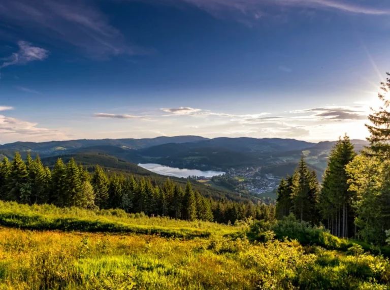 wandern im schwarzwald tourismus hochschwarzwald hochfirstturm