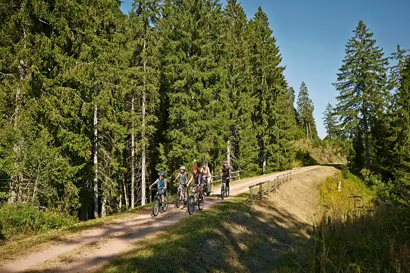 radtouren schwarzwald suedschwarzwald radweg hochschwarzwald tourismus gmbH