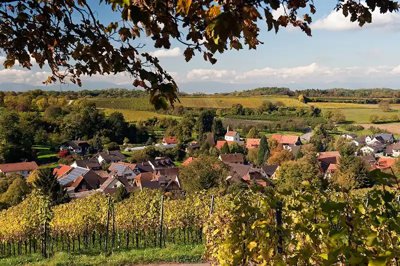 weinberge radtouren schwarzwald tourismus gmbH