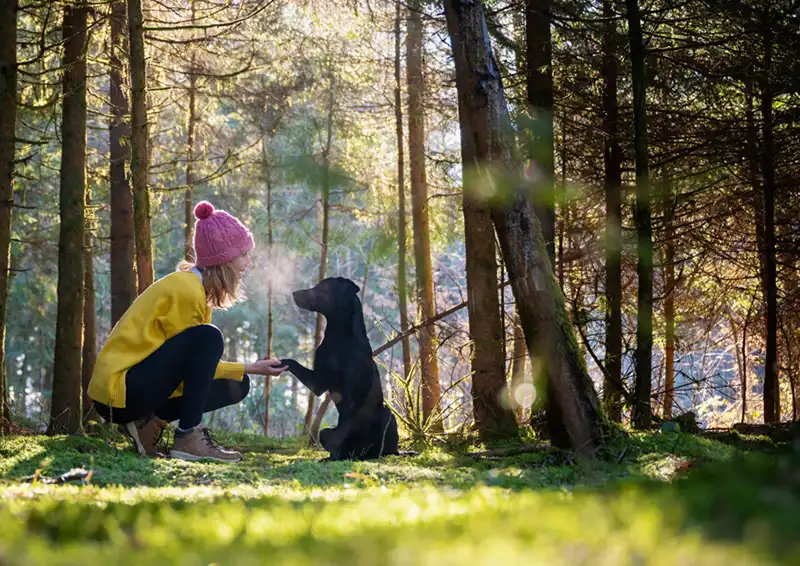 unterkunft mit hund schwarzwald hochschwarzwald tourismus gmbH tabea salzer