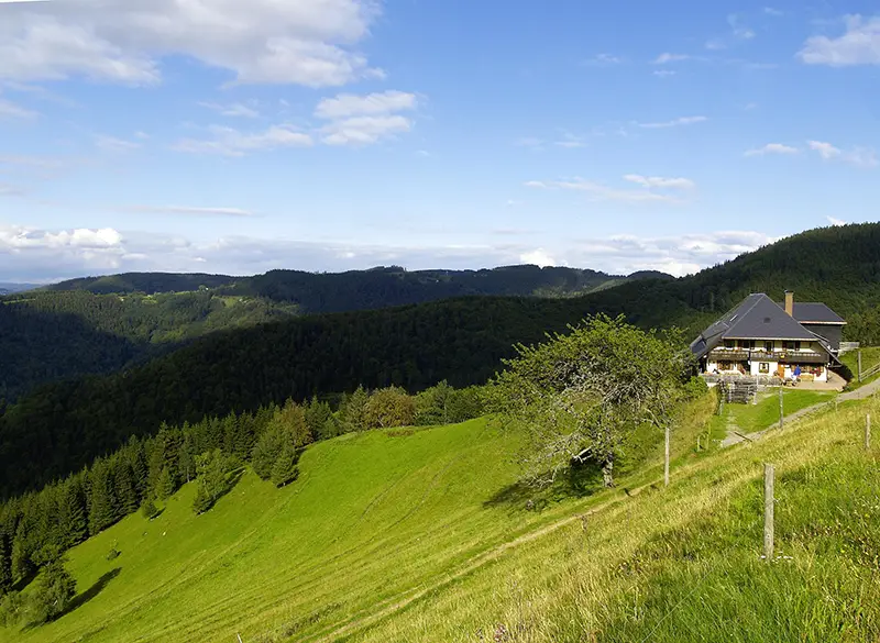 schwarzwald mountainbike kirchzarten schwarzwald tourismus