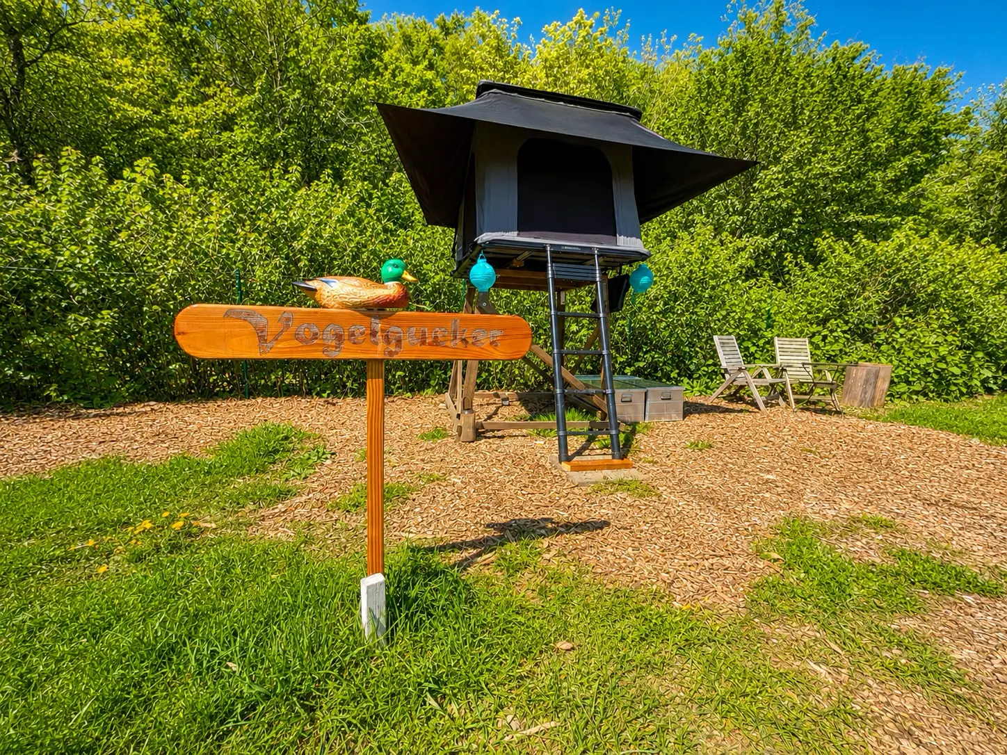 dachzelt dorf freilingen vogelgucker dachzelt uebernachtung natur