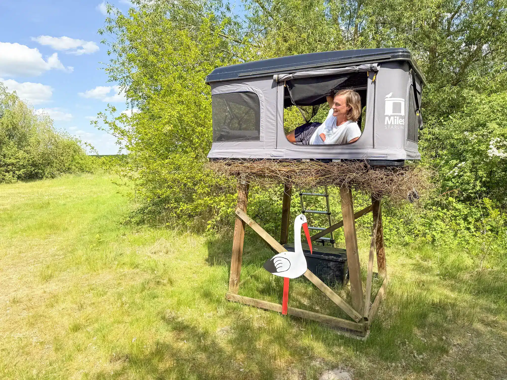 DACHZELT DORF Season Sale — gebrauchte Dachzelte günstig